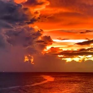 Meet your Posher, Alice